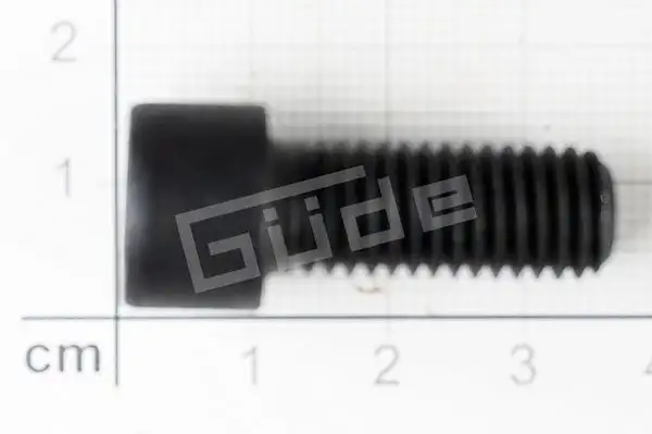 GDE Schraube M10x30mm - 40558-01001