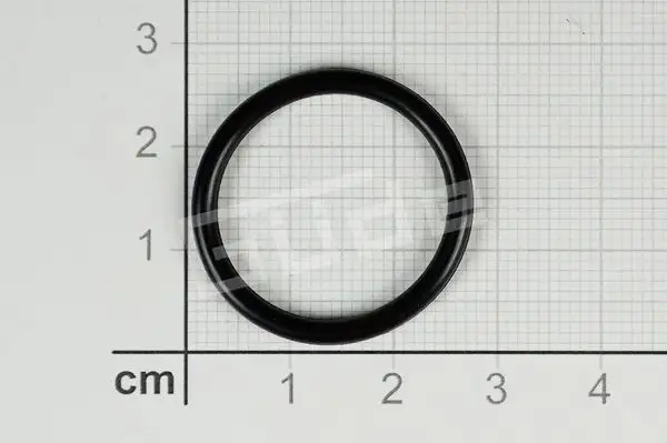 O-Ring 22x2,5mm - 93906-01060